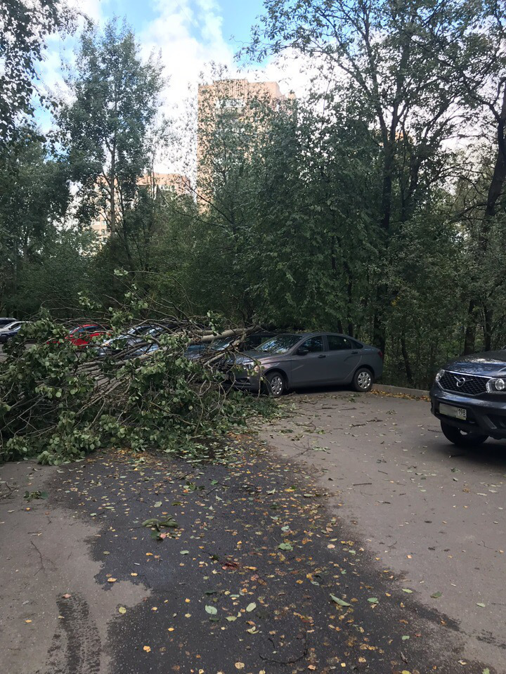 Искровский, 28